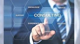 Consulting